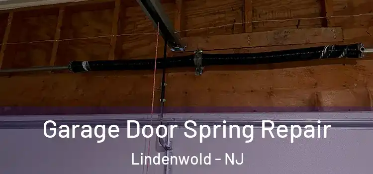  Garage Door Spring Repair Lindenwold - NJ