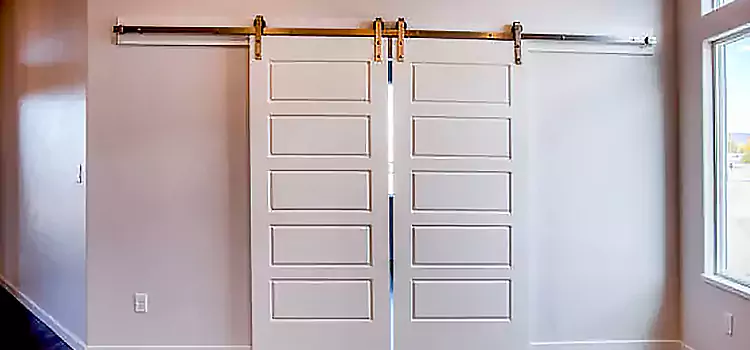 Glass Barn Door with Installation Hardware Kit Lindenwold