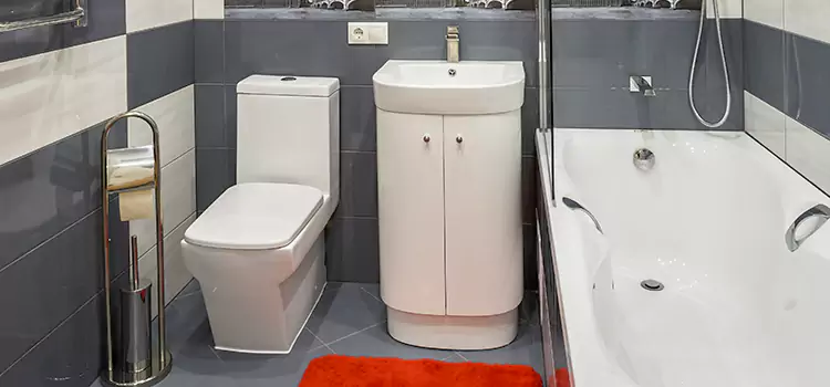Hansgrohe Shaving Mirror Lindenwold